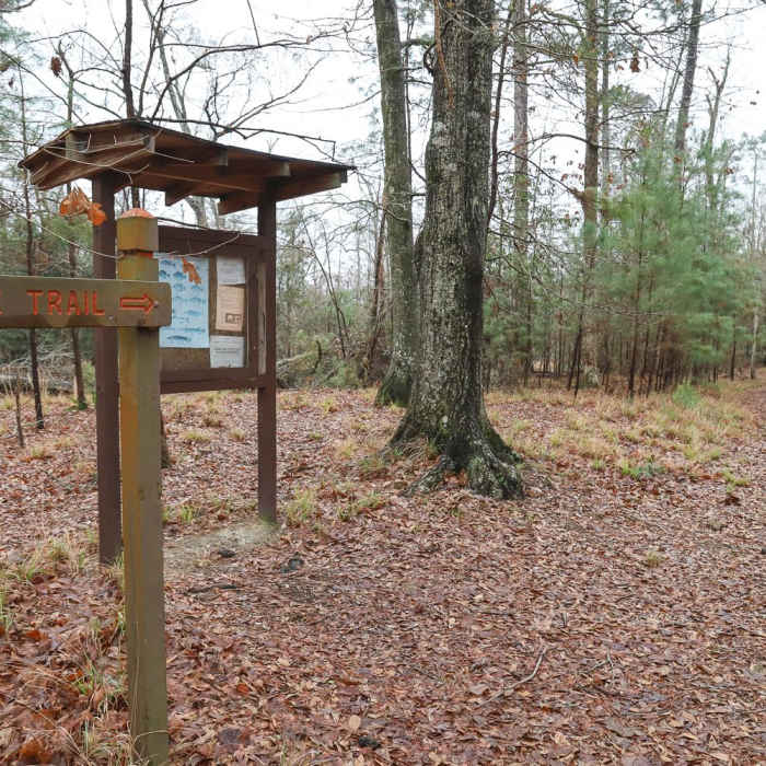 Near Riverwalk Trail