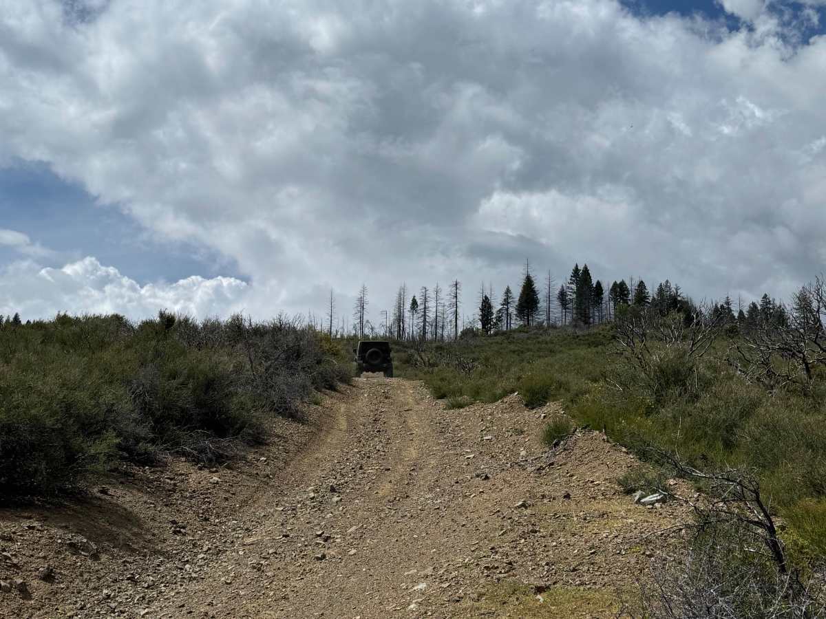 Rattlesnake 4x4 85467 photo 5