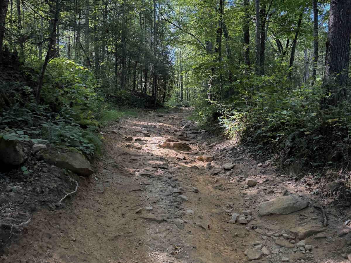 Thirteen Hollow Trail 3   photo 4