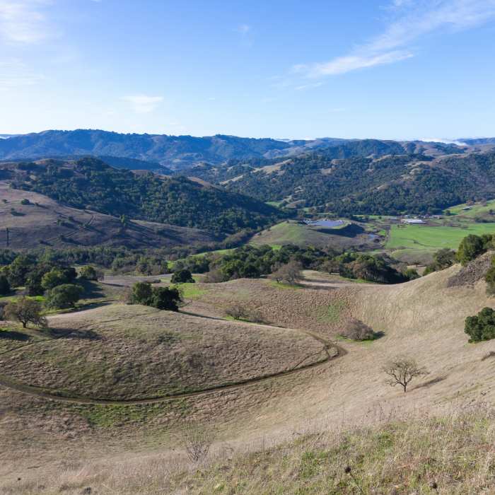 Near Mt. Burdell Preserve Loop