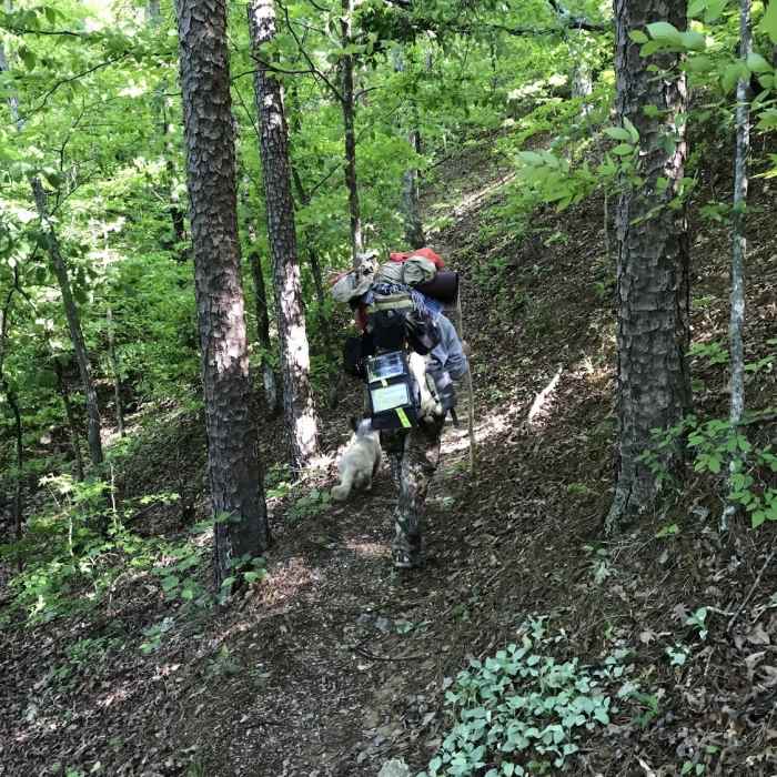 Near Caney Creek Trail