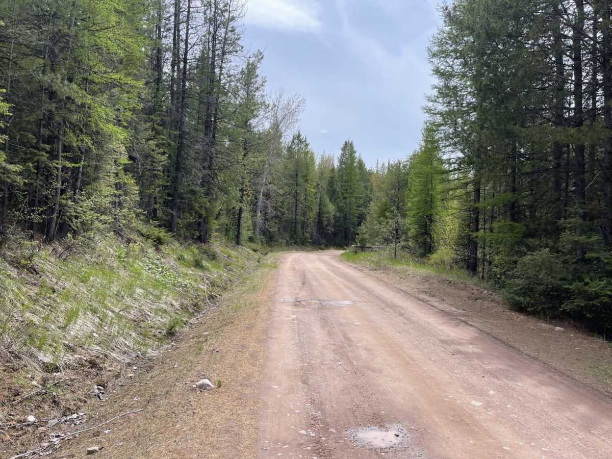 Owl Creek Loop photo 2
