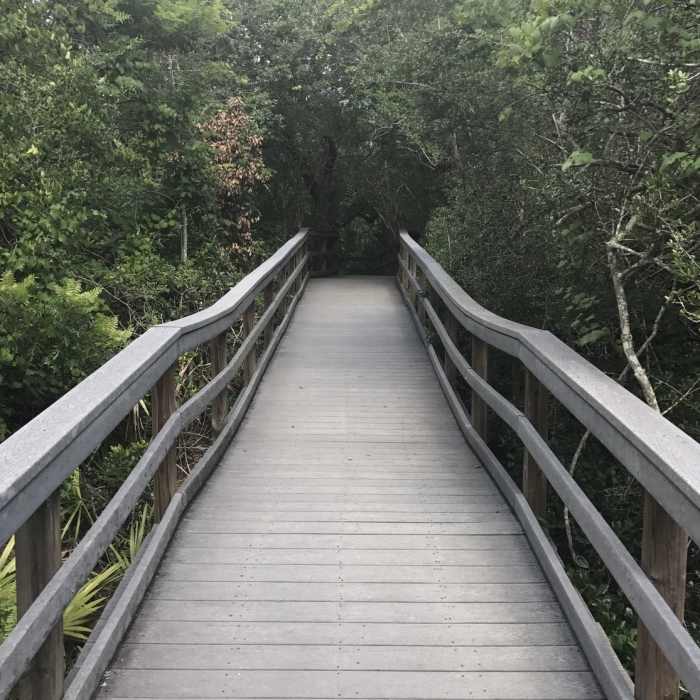 Near Fort Matanzas Nature Trail
