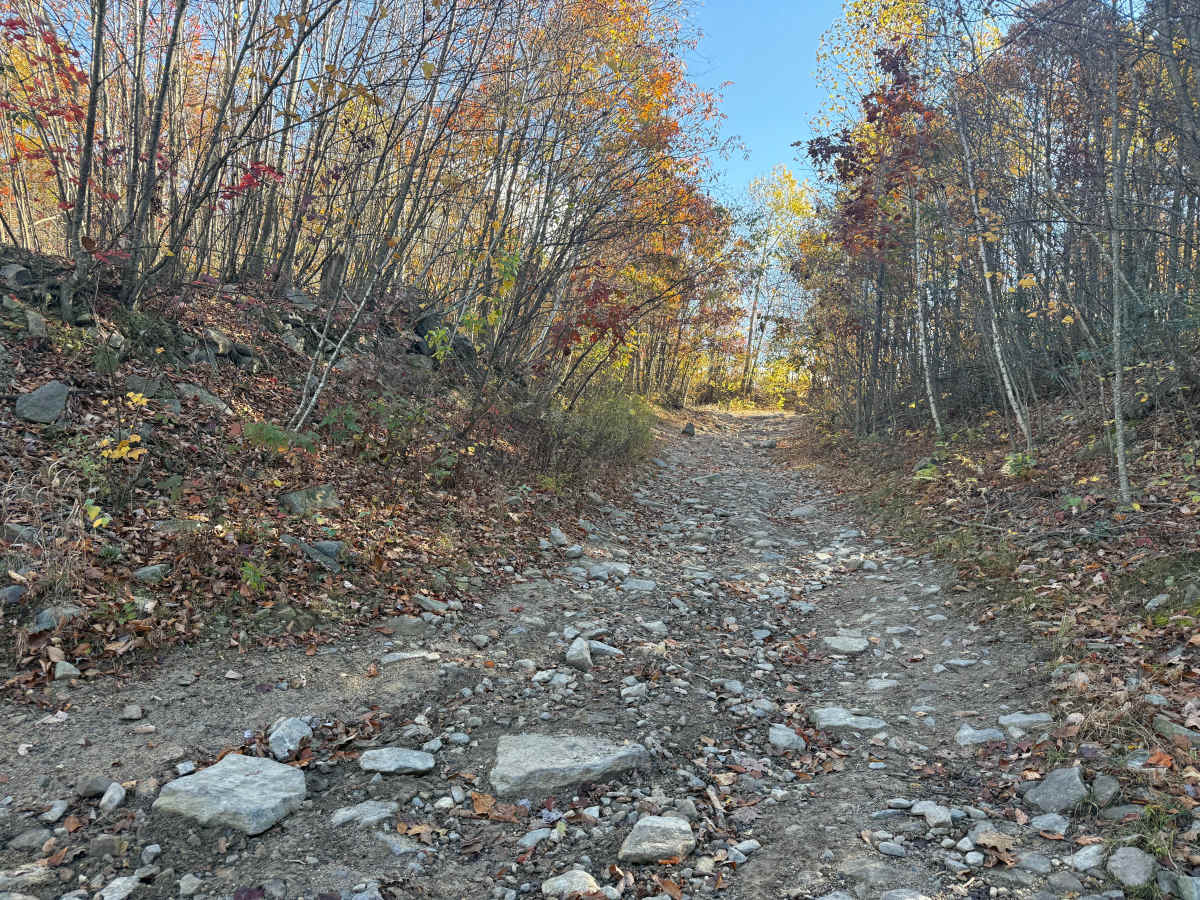 Trail 4 photo 4