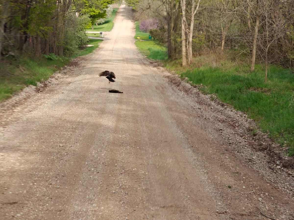 Scenic Hopkins Gravel photo 4