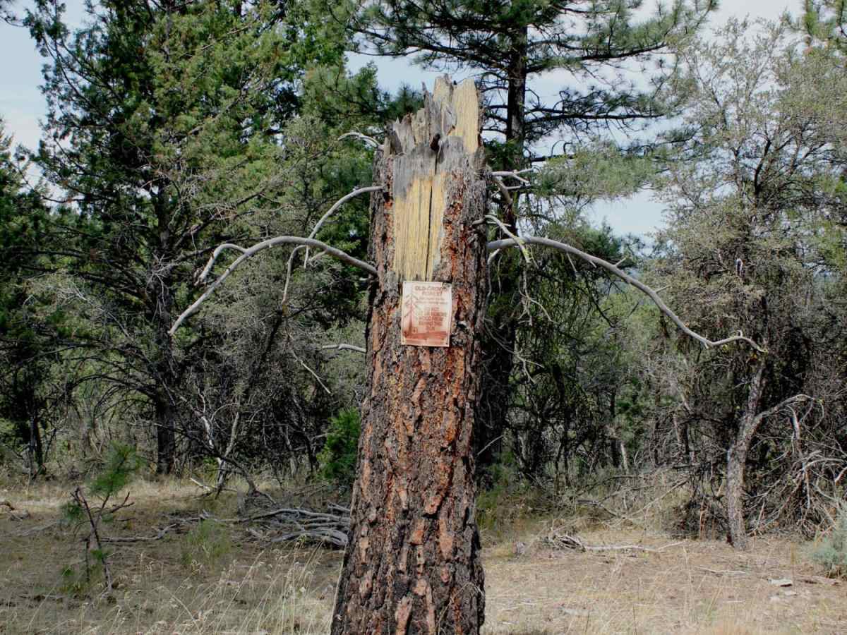Lost Creek photo 6