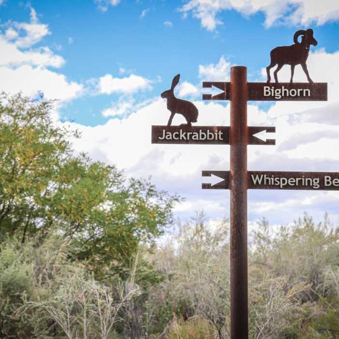 Near Jackrabbit Loop