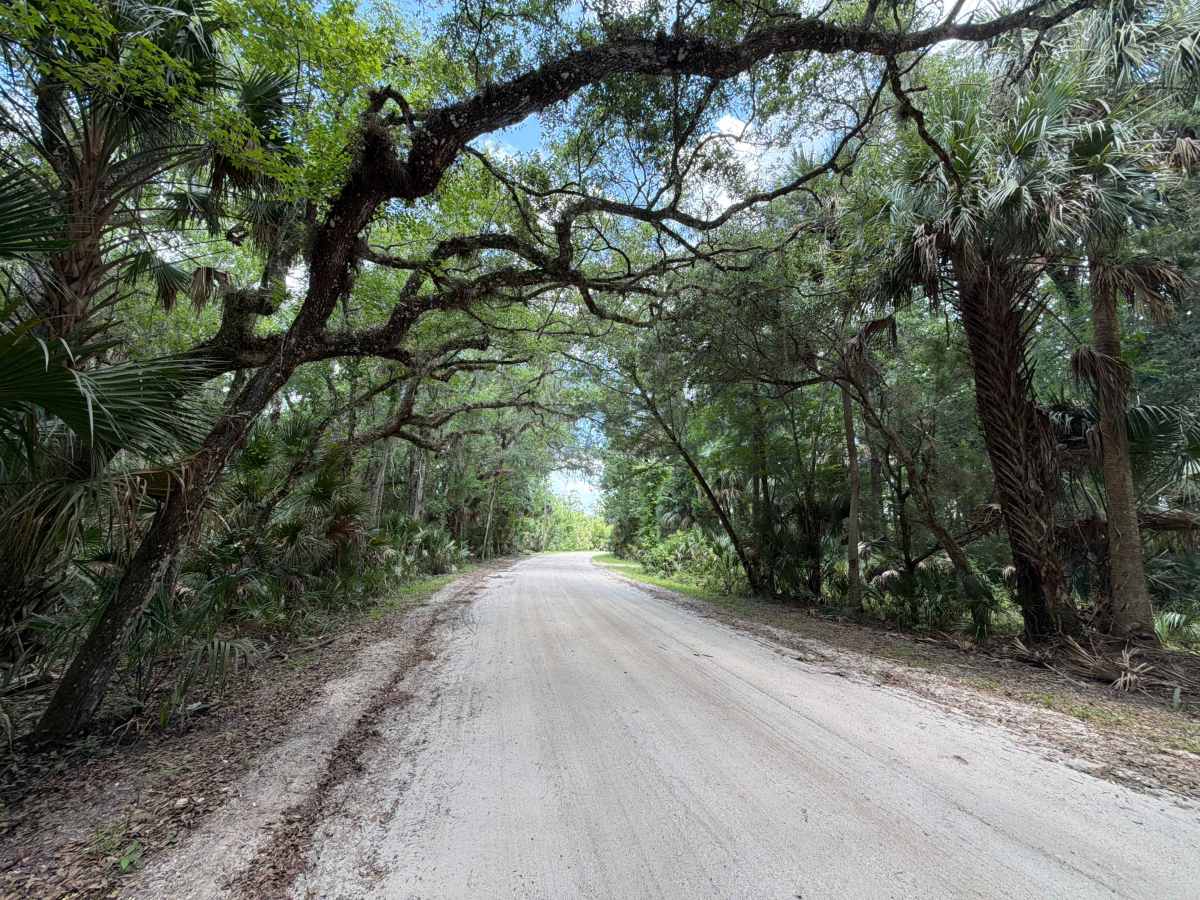 Volusia Bar Road photo 3
