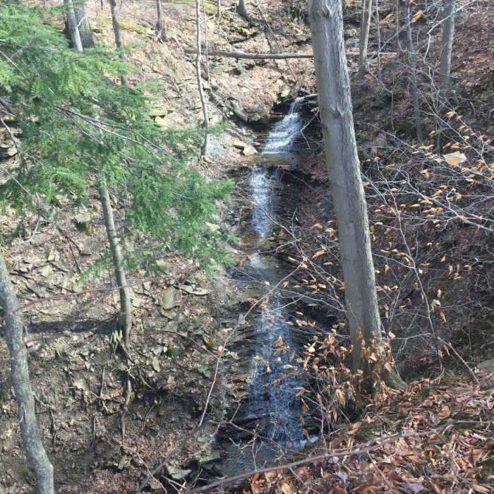 Near Sagamore Creek Loop Trail