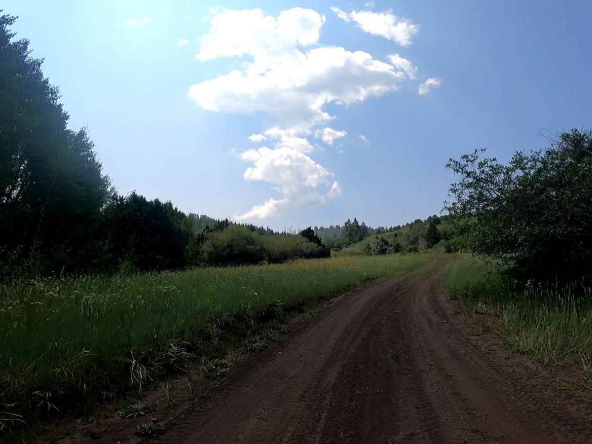 Shay Ridge photo 6