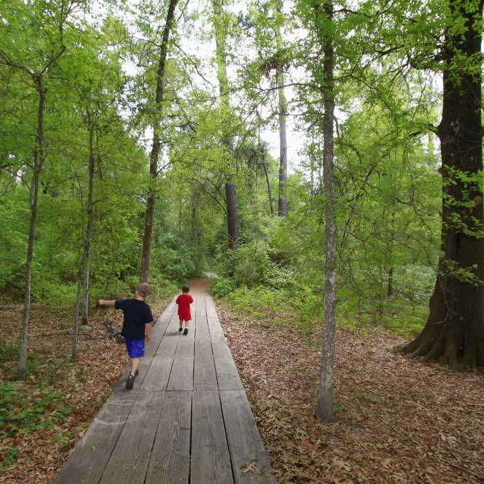 A pair of children take in the sights along the Outer Loop at Houston Arboretum. Near Houston Arboretum Walking Loop