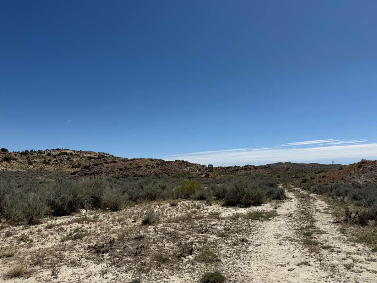 Picnic Area Trail photo 6