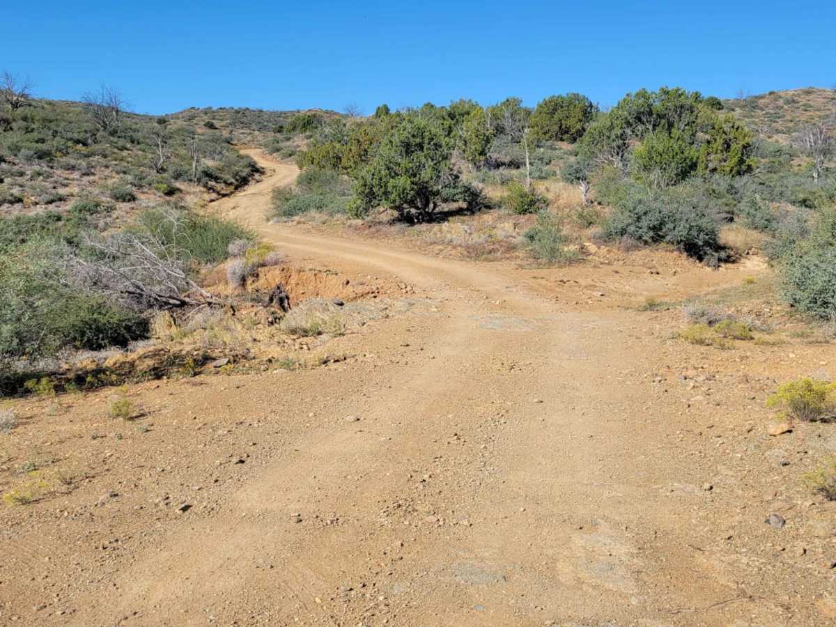 Maggie May's Way trail photo