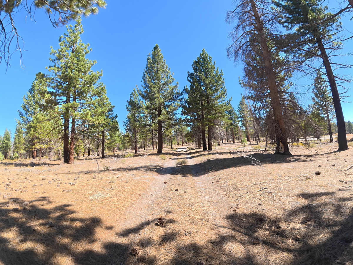 FS 1S143 trail photo