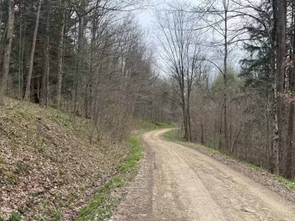 North Branch Sugar Run - FS 271 photo 3