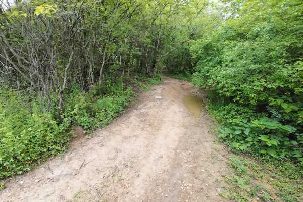 Burnett Trail