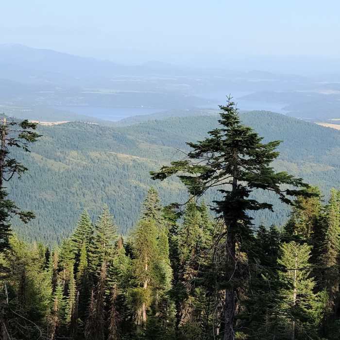 Near Mica Peak to Liberty Lake: Highline Connector