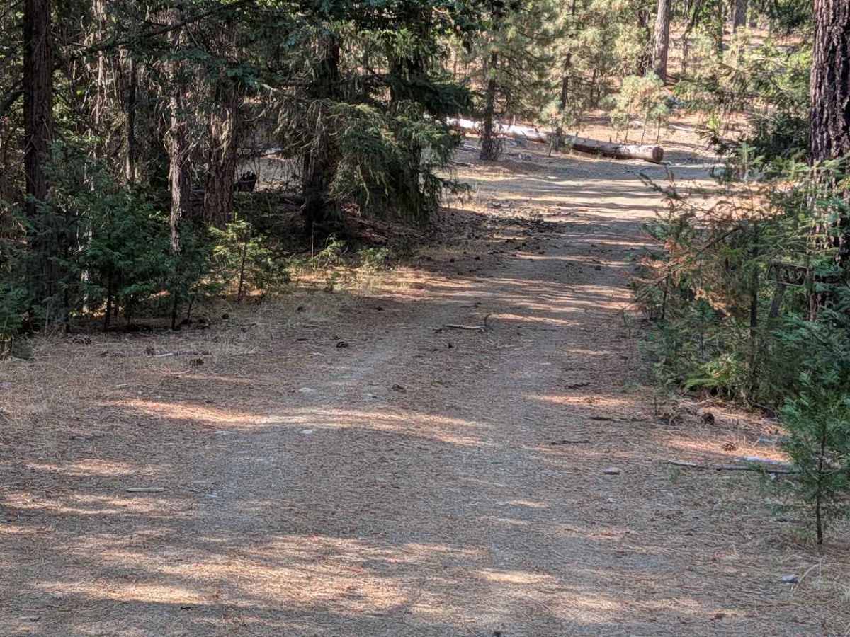 Naufus Creek Road - FS 1N09 trail photo