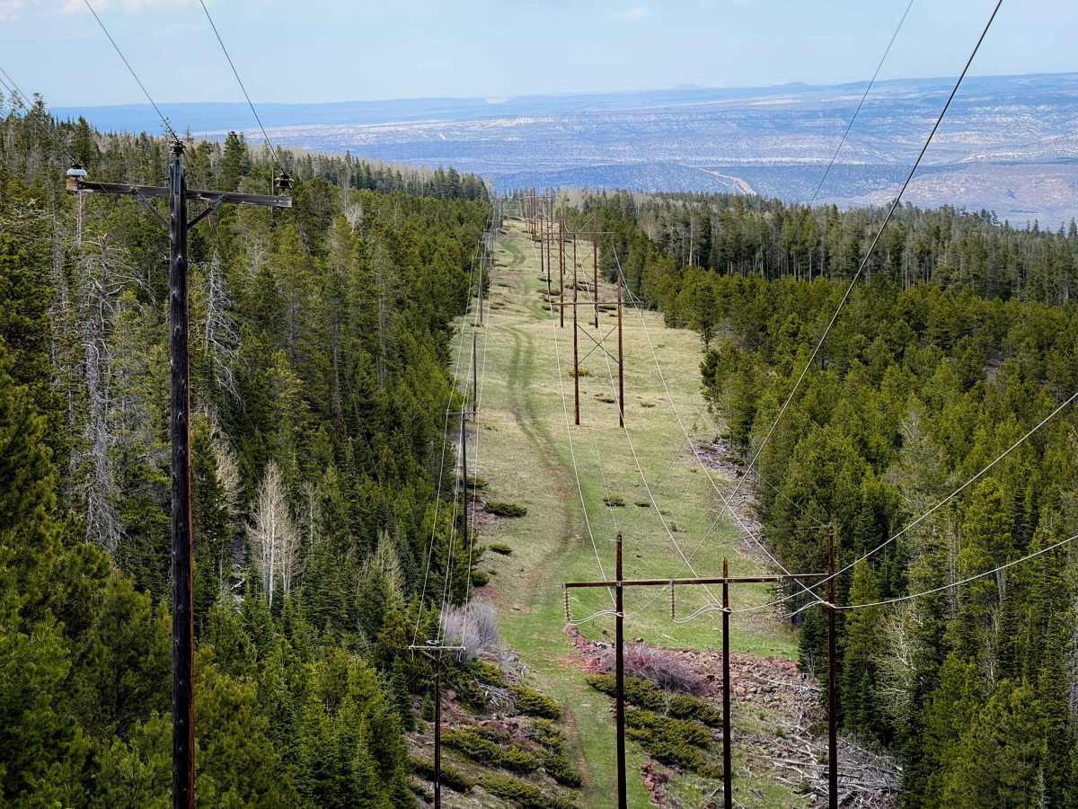 Don Hatch Memorial #1160  trail photo