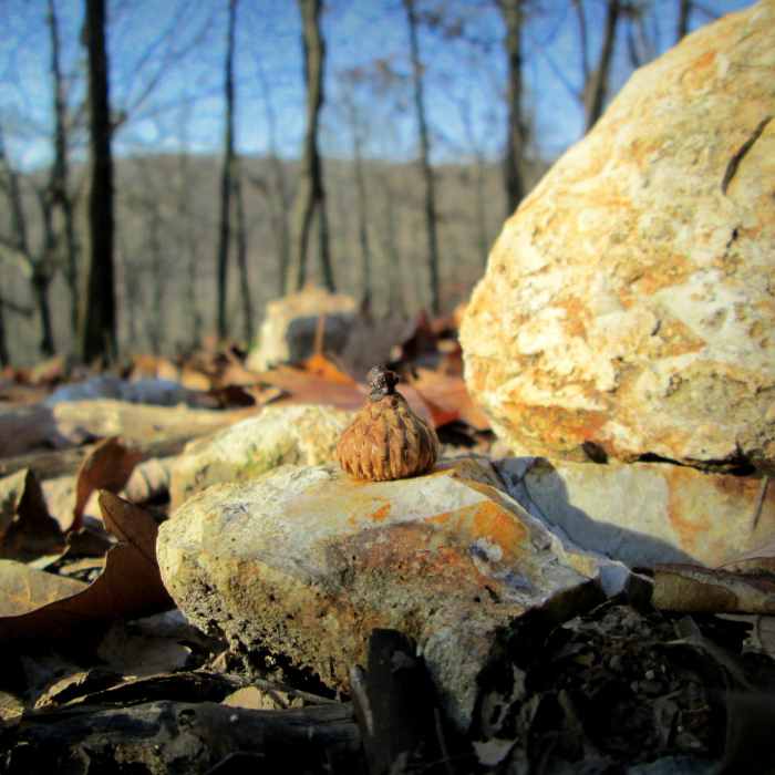 Near Bealuh Loop Trail