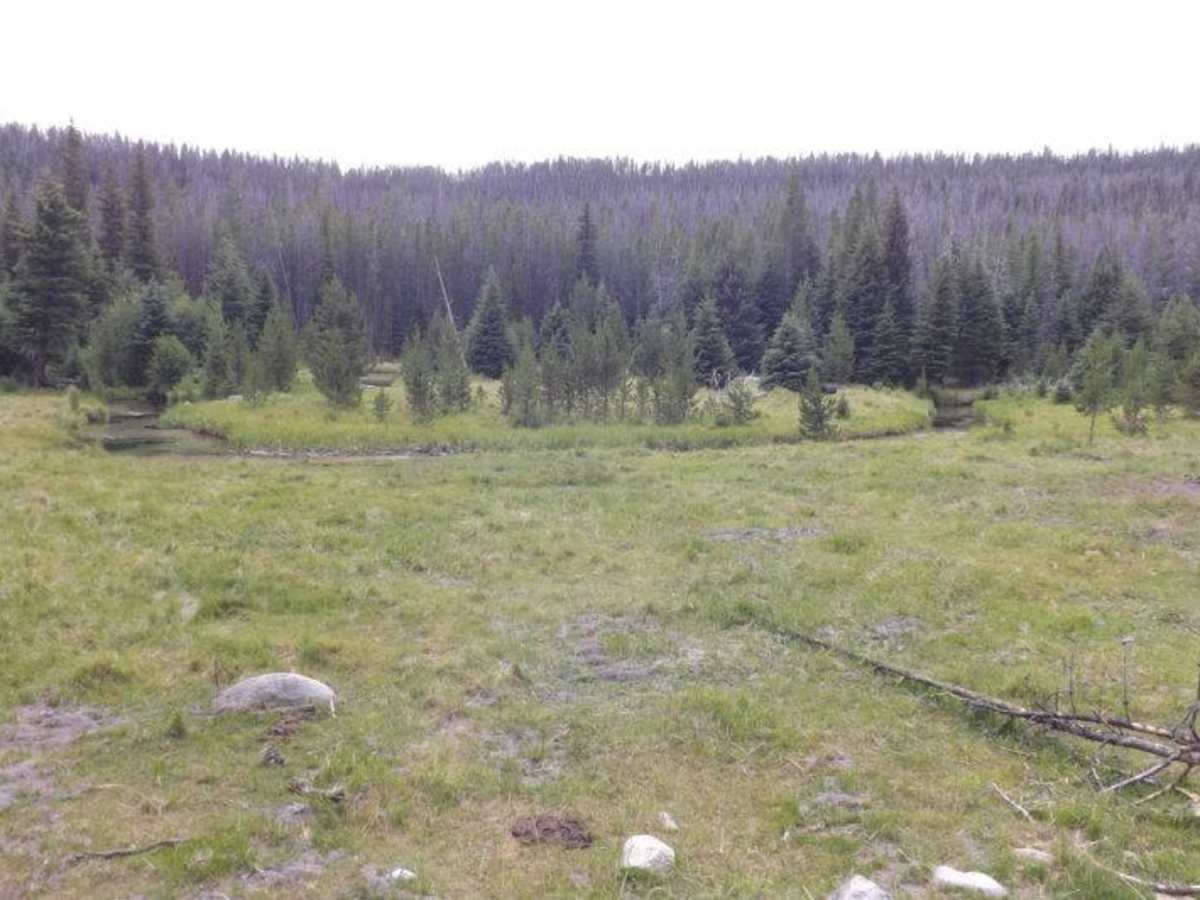 Caruthers Lake trail photo
