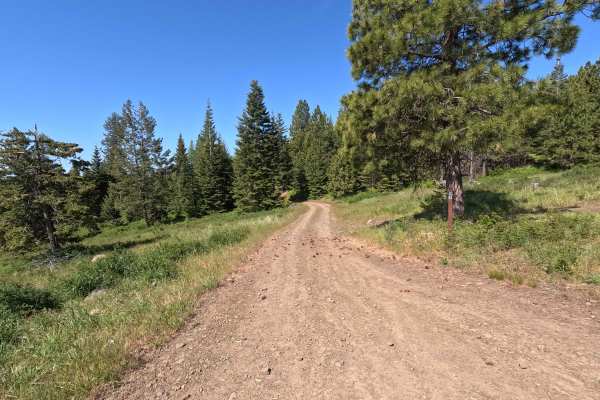 Vaca Loop - Trail 204