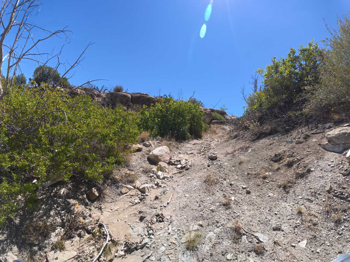 BLM 287 photo 5