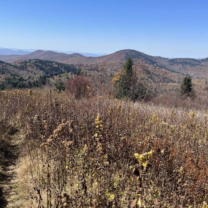 The top of the Green Mountain Trail traverses Fork Ridge Meadow with gorgeous views of the surrounding high mountains. Near Green Mountain Trail