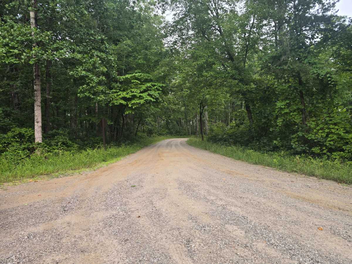 Twin Arches Road trail photo