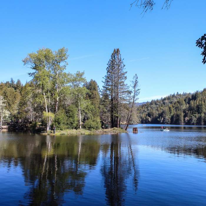 Near Loch Trail
