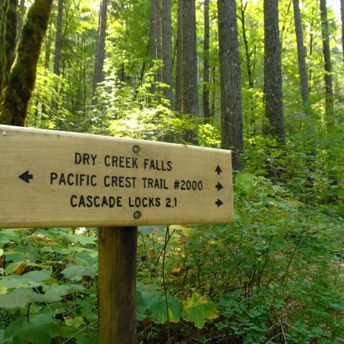 Near Dry Creek Falls