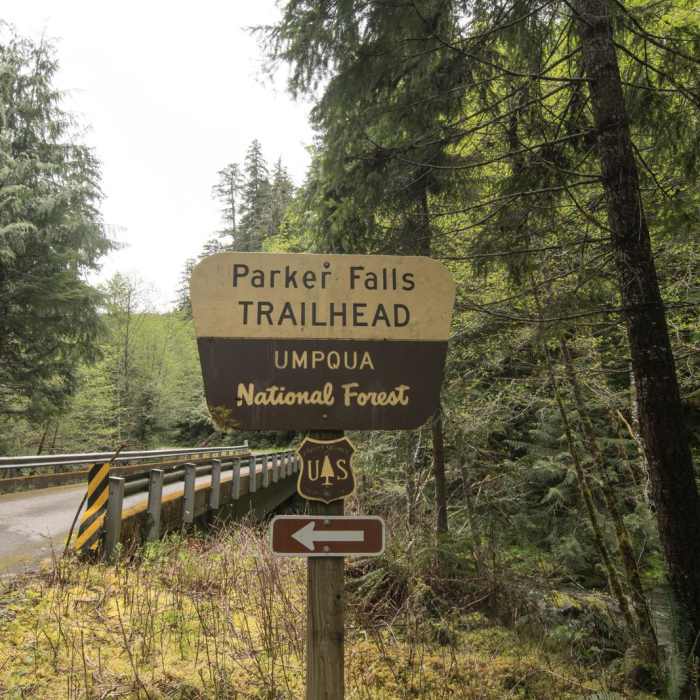 Near Lower + Upper Parker Falls