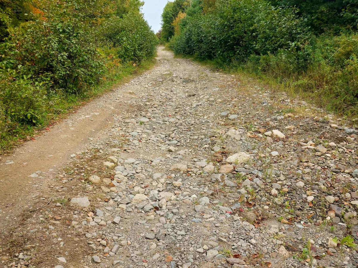Gravel Island Road photo 5