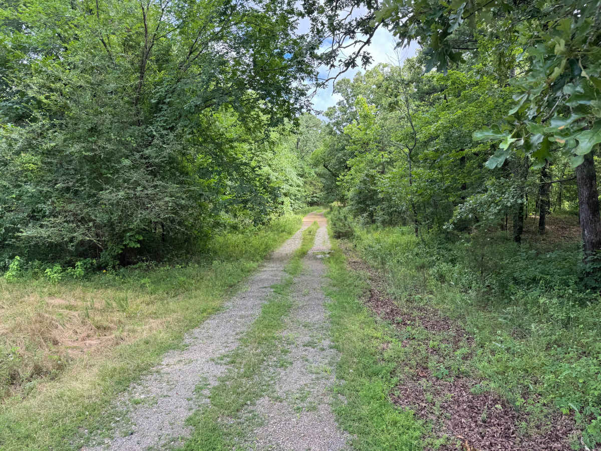 Woods Branch trail photo