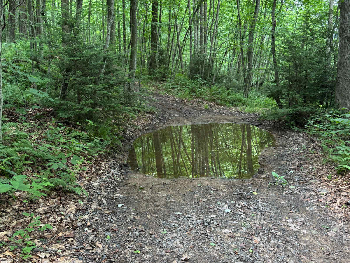 Trail 33 photo 2