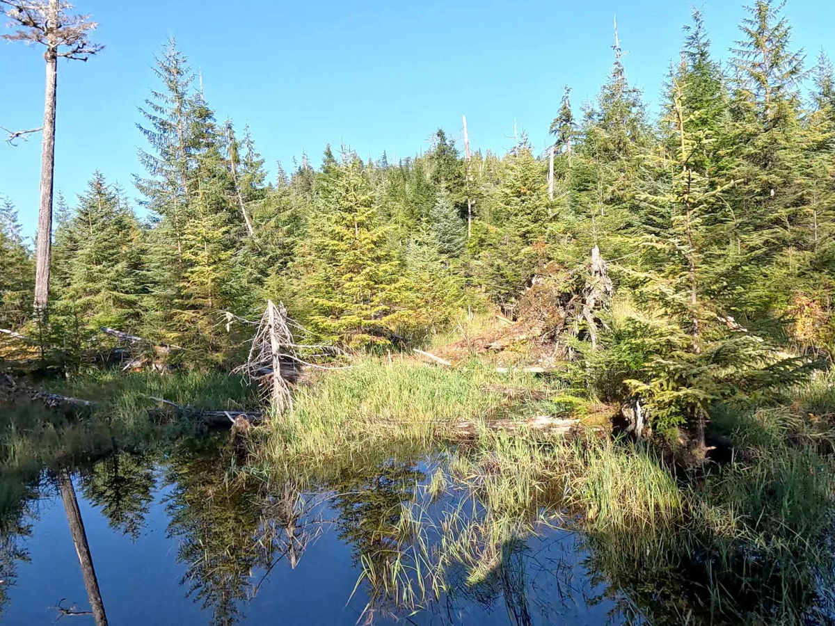 Snakey Lakes River Road - FS 3015200 photo 6