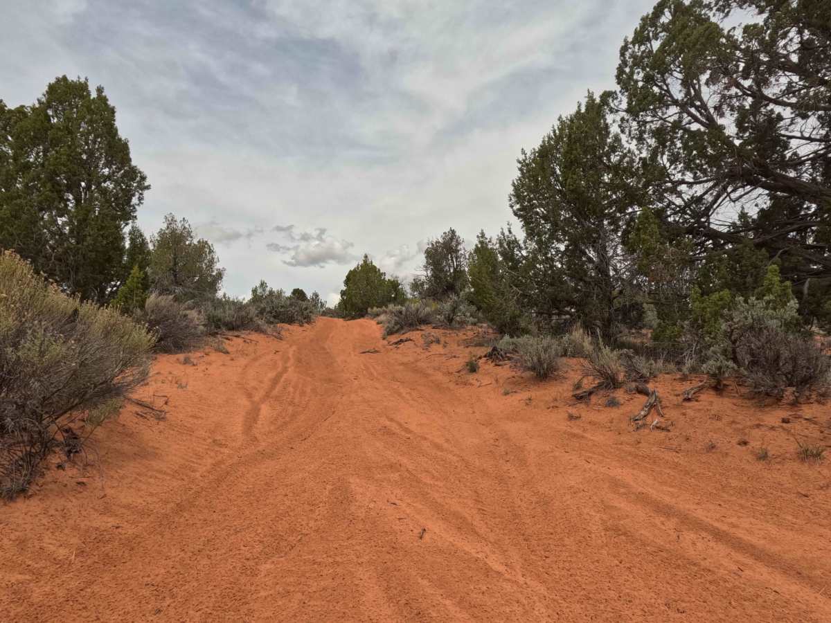 BLM 61E trail photo