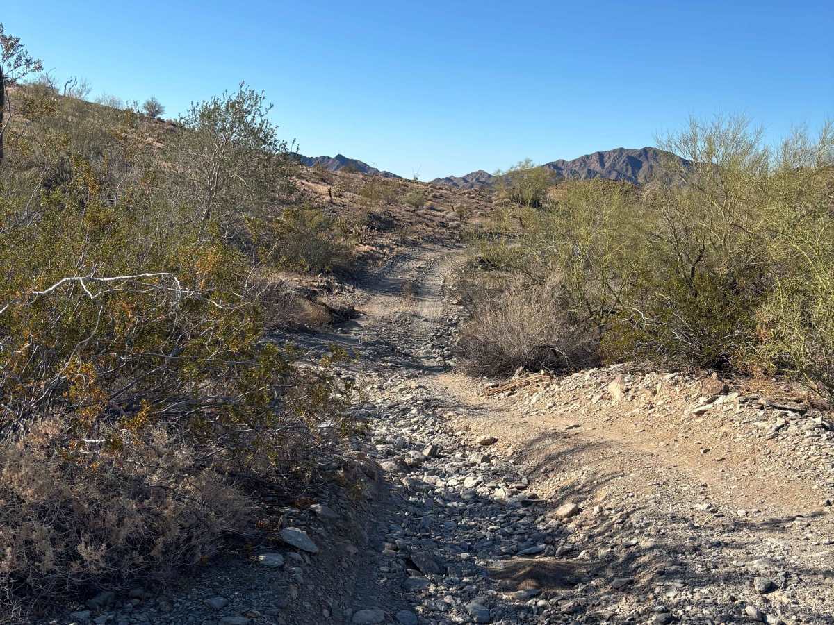 BLM 0129 photo 3