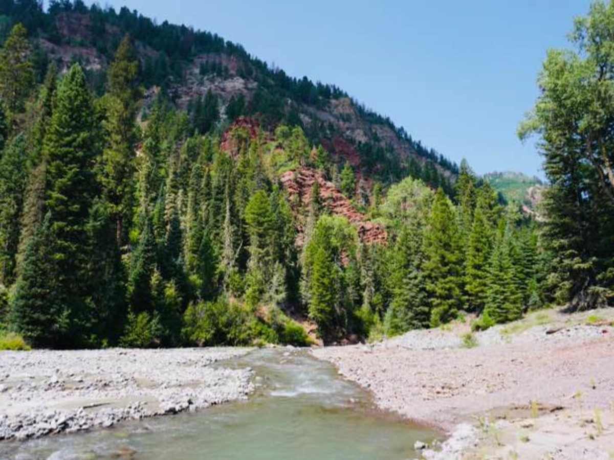 Cow Creek photo 4