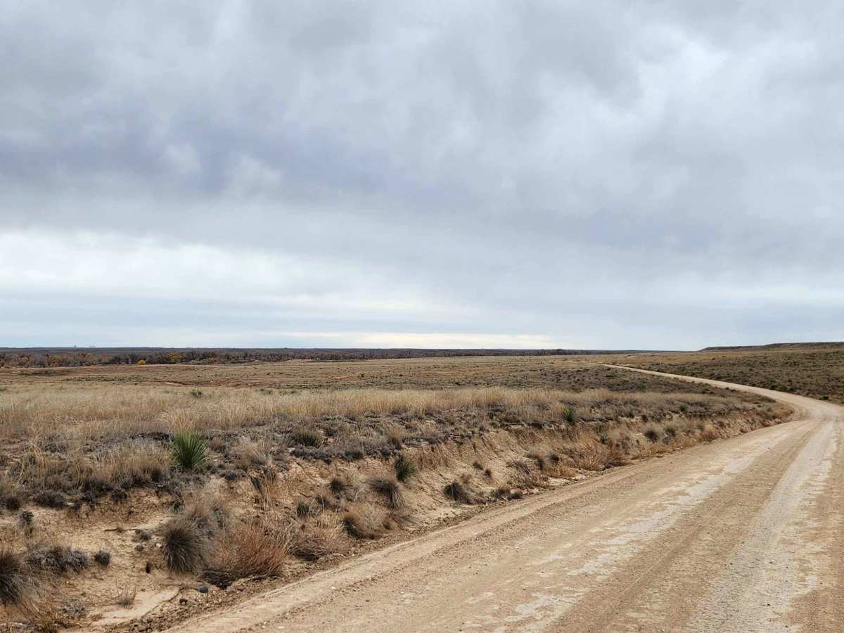 Conestoga Loop  photo 4