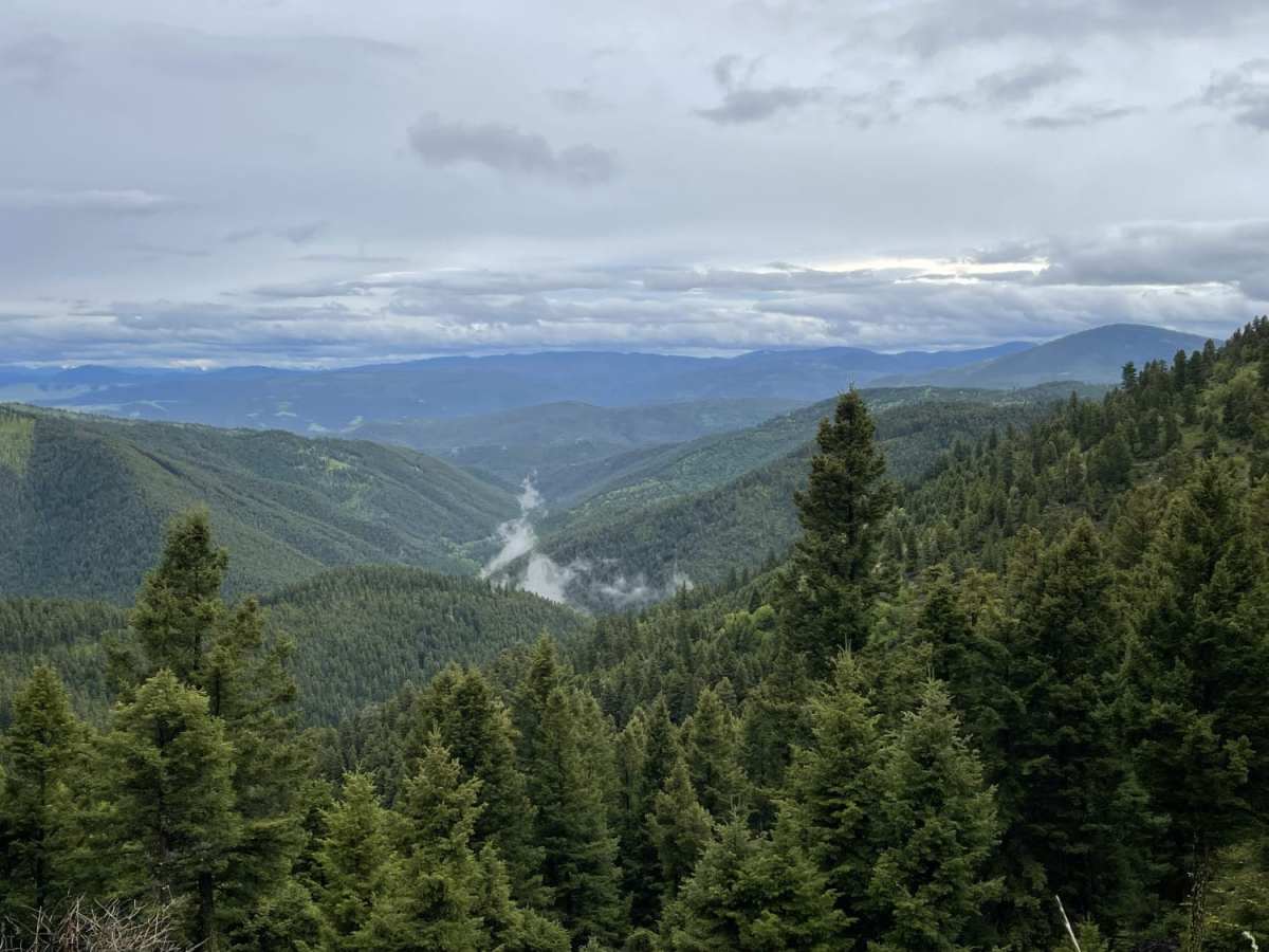 Upper Cave Gulch Road photo 5