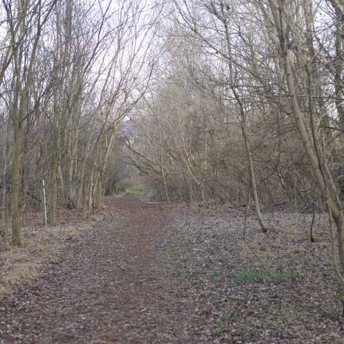 Near Longhunter Loop Trail