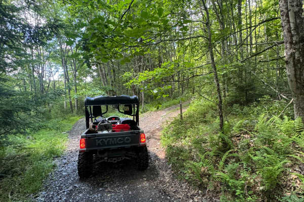 Furnace Trail