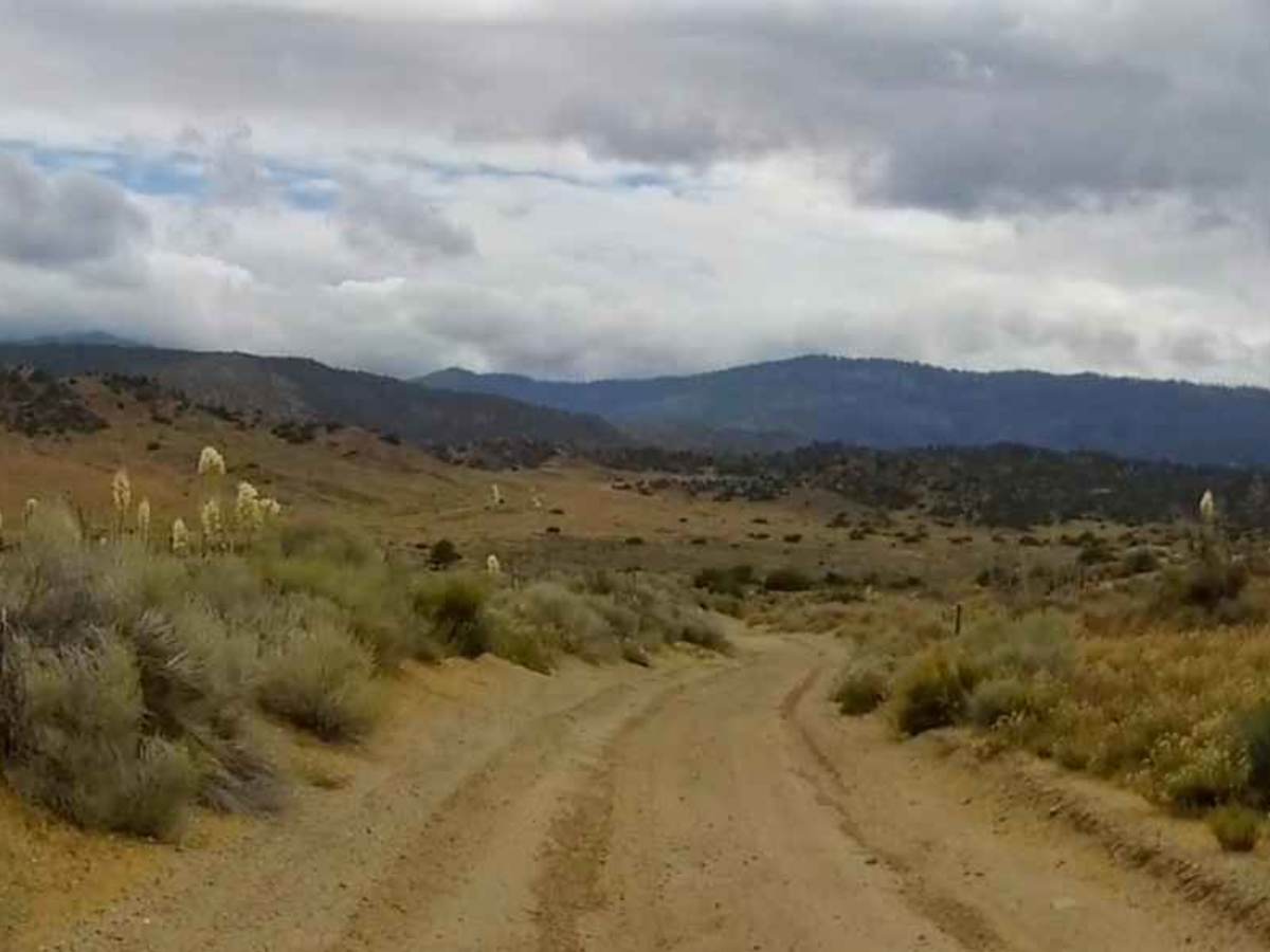 Schmidt Ranch Trail photo 3
