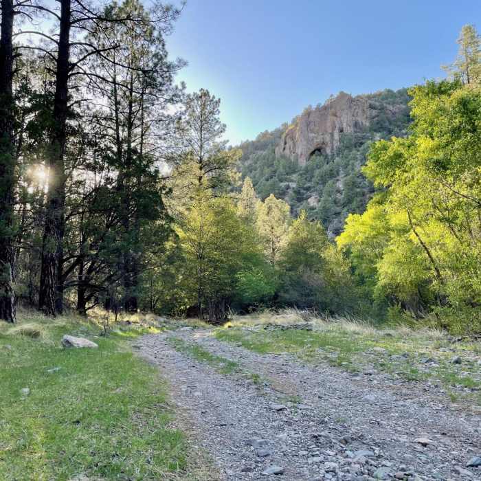 Near Continental Divide Trail: Gila River Alternate (Part 1)