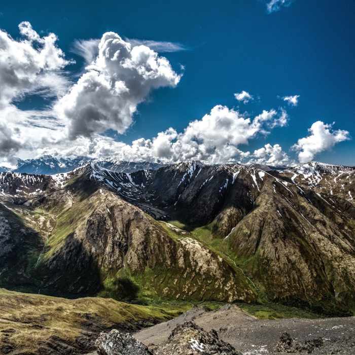 Near South Pioneer Peak Hike