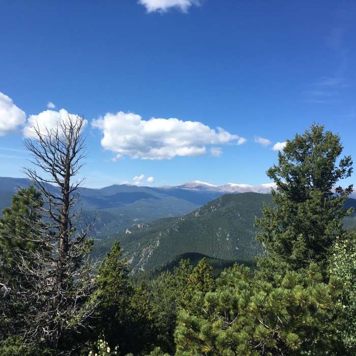 Near Bergen Peak Trail