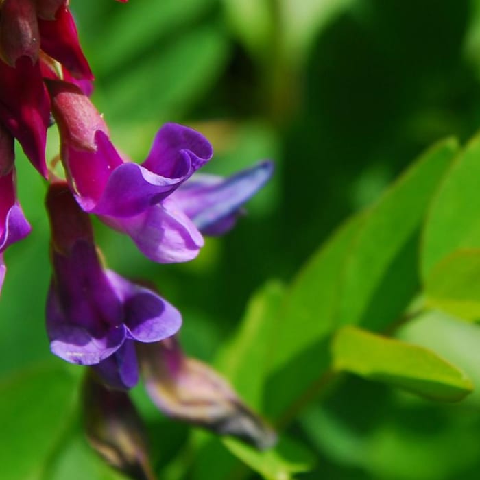 Near Bald Butte Hike