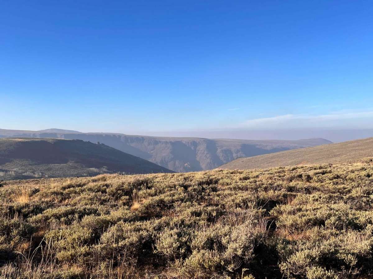 Upper Cold Spring trail photo