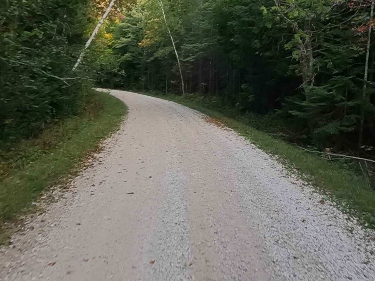 Red Creek Road - FS 3118   photo 5